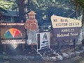 2014 Mt Baldy Cali 007